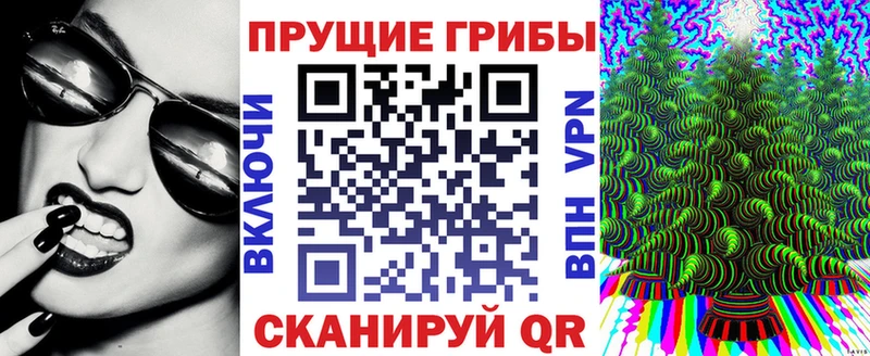 KRAKEN ссылка  наркошоп  Бежецк  Галлюциногенные грибы мицелий 